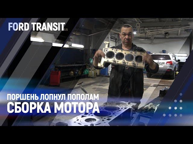 Поршень лопнул пополам /сборка мотора/ Ford transit