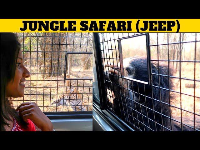 BANNERGHATTA NATIONAL PARK | Jungle Safari | Tamil Travel Vlog