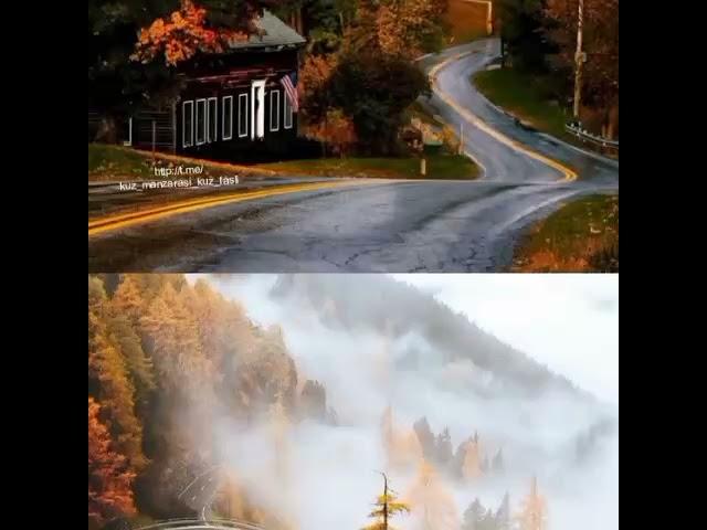 *ЗОЛОТАЯ--ОСЕНЬ*