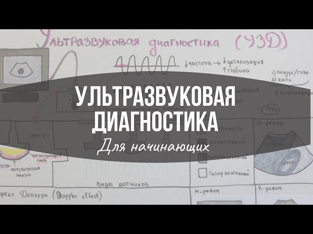 Ультразвуковая диагностика: Основы (для начинающих) / УЗД / УЗИ