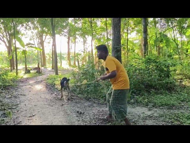 Oho Amazing Man with his goat sweet boy meets cute goat village veloge video