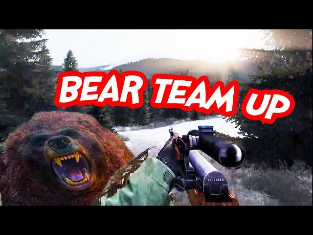 Teaming Up With A Bear on Namalsk