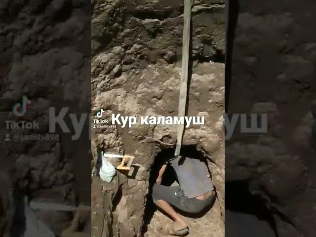 Кур каламуш