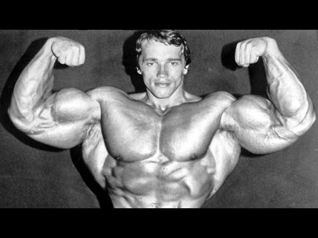 Arnold Schwarzenegger motivation training