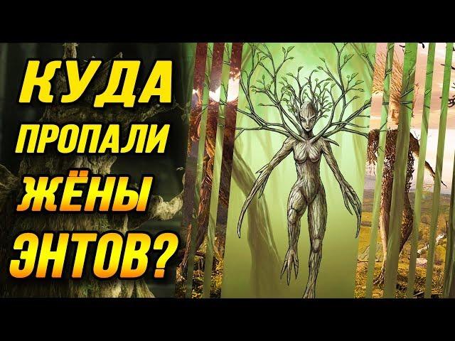 Куда пропали Жены Энтов?