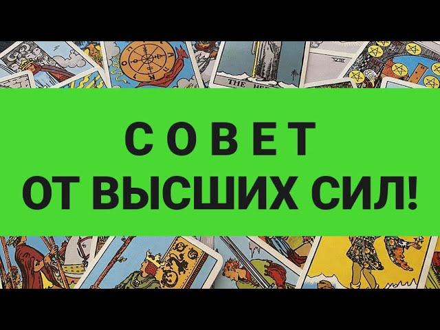 #ТАРО. СОВЕТ ОТ ВЫСШИХ СИЛ. / ОНЛАЙН РАСКЛАД / "Алуника Таро"