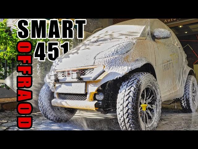 Smart Fortwo 451 Deep Clean - Auto Detailing