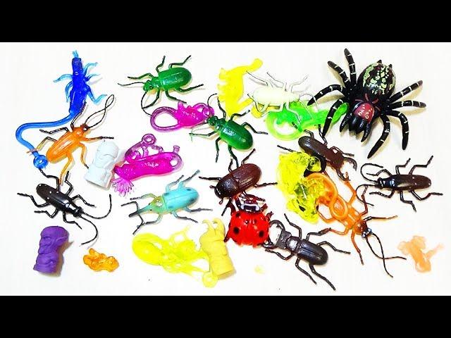 TOY COCKROACHES Lizunov ERASERS animals dinosaurs Videos for kids learn the names of animals