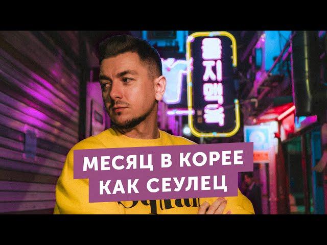 Переехал в Южную Корею: дом в подвале, потроха на обед, собаки вместо детей.