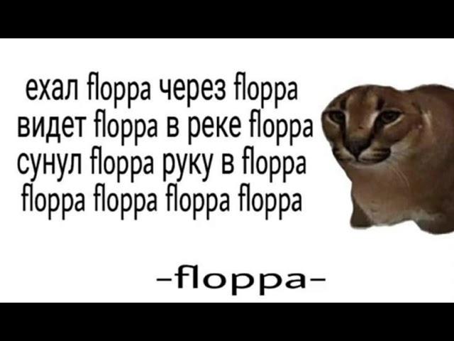 Ехал Floppa через Floppa