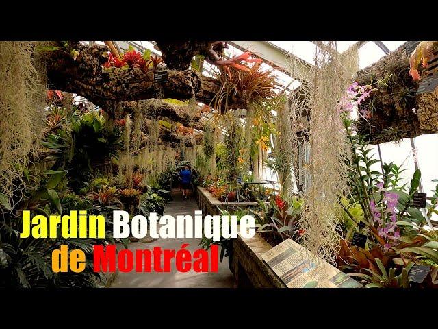 Jewellery of Earth Plants Life | Complete Tour of Montreal Botanical Garden | Indoor greenhouses