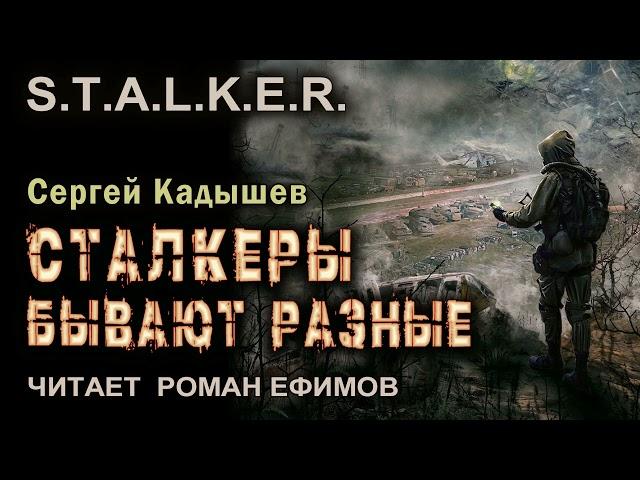 S.T.A.L.K.E.R. Сталкеры бывают разные (аудиокнига). ФАНТАСТИКА. Сергей Кадышев. Читает Роман Ефимов.