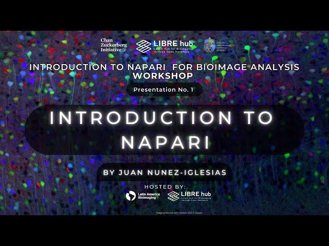 Introduction to Napari for Bioimage Analysis | Juan Nunez-Iglesias