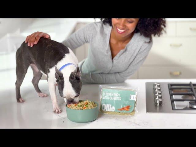 Ollie Dog Food Quality and Process