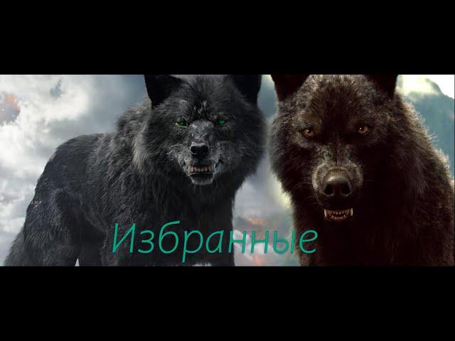 - ღ Мы были избраны, мы жертвуем собой ღ -