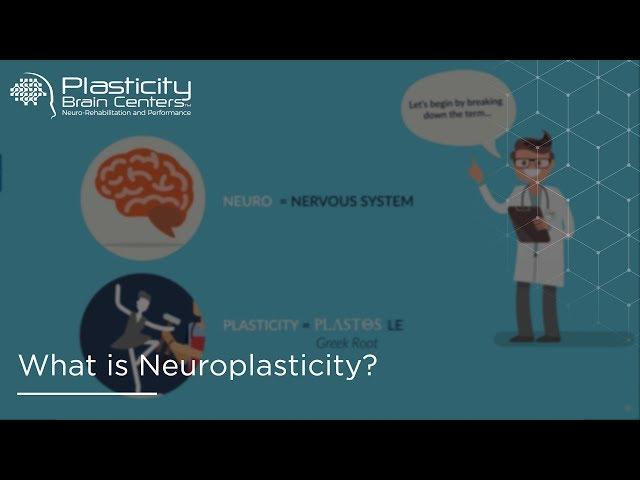 What is Neuroplasticity?