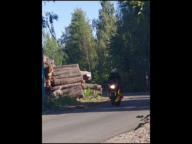 Honda CBR954RR Fireblade wheelie  #hondacbr954rr  #спортбайк #wheelie