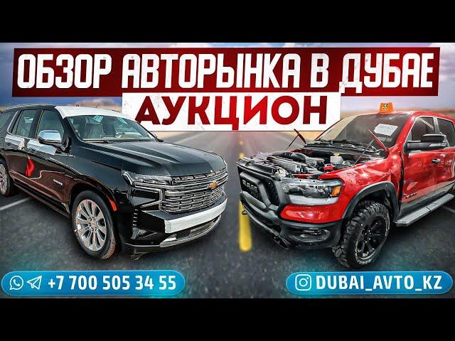 10.07.2023. Обзор авторынка Дубая и Шарджи. Аукцион битых машин.