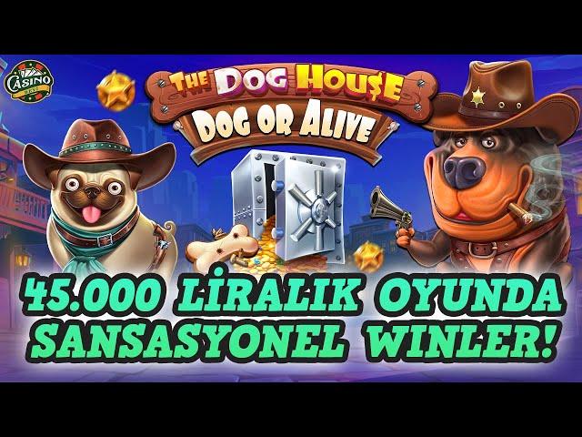  PRAGMATIC PLAY SLOT OYUNU THE DOG HOUSE DOG OR ALIVE  MEGA SPIN #CASINO #SLOT #SLOTOYUNLARIBIGWIN