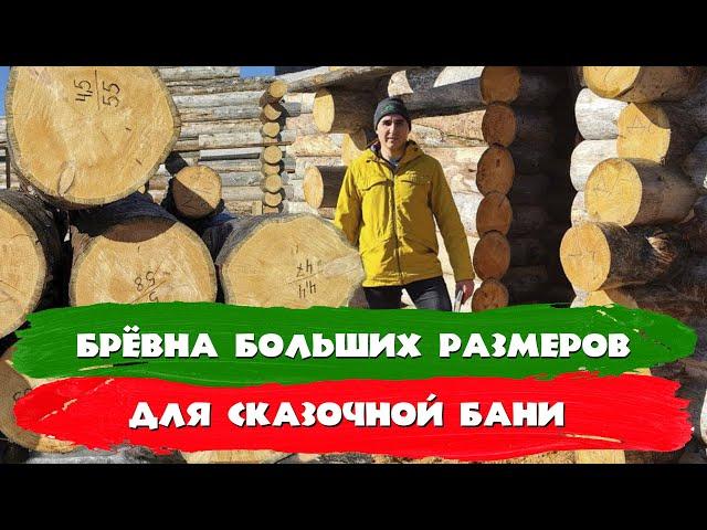 Брёвна kelo большого диаметра. СК Строим Дом Мечты.