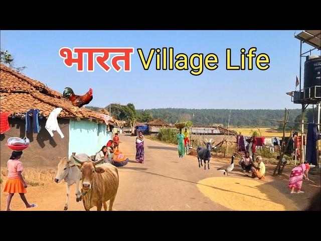 Hidden Village Life in India | Peaceful Moments for Relaxation and Calm