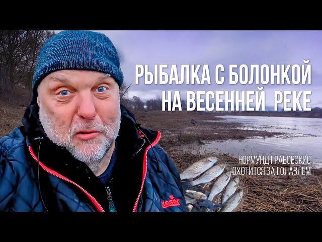 Захватывающая РЫБАЛКА в ПРОВОДКУ на весенней реке. Нормунд ГРАБОВСКИС ловит голавля и леща!