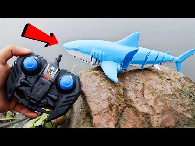 Top 10 Best Remote Control Sharks on Amazon!