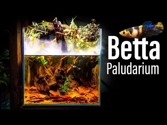 Mist Dripwall Betta Paludarium