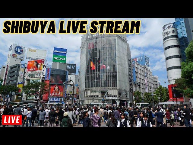 Live: From Shibuya Japan lets walk and talk around the area 6/14/2025