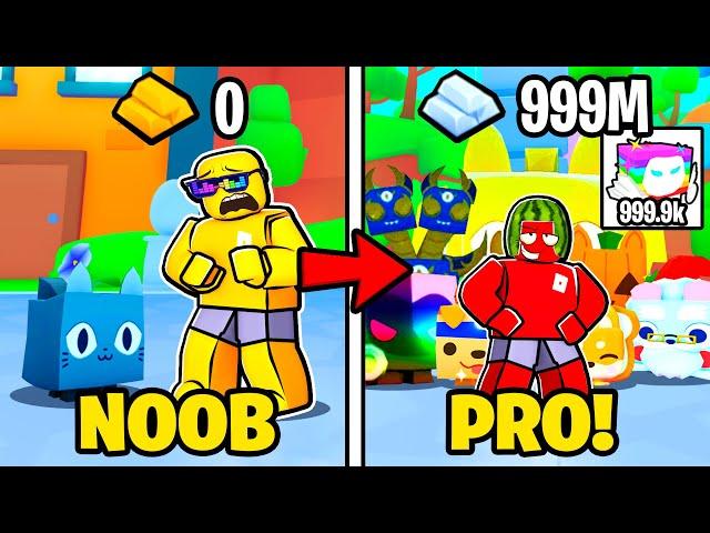 Noob To PRO In Pet Simulator 99 Roblox