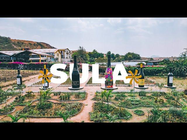 SULA VINEYARD NASHIK | Personalised Tour | Things to do