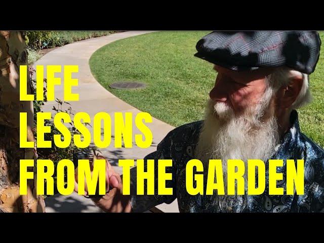 Life Lessons From the Garden