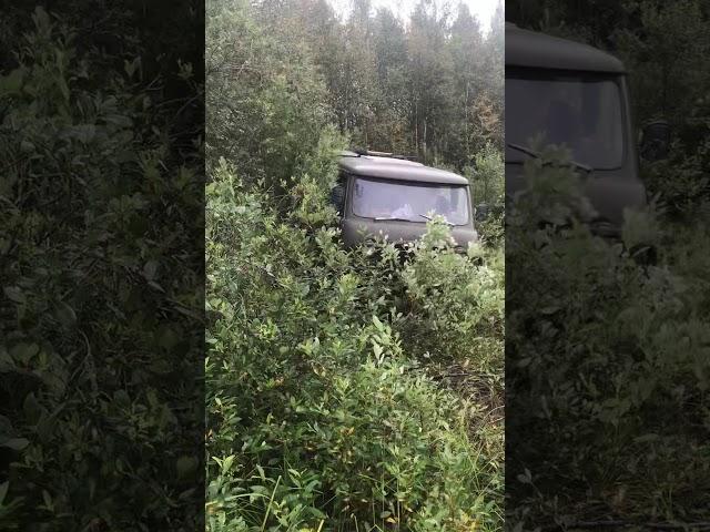 Узола снегоболотоход