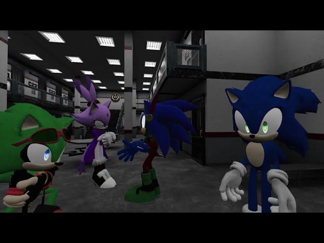 Two Different Sides of the Coin: Sonic and Scourge do Community Service