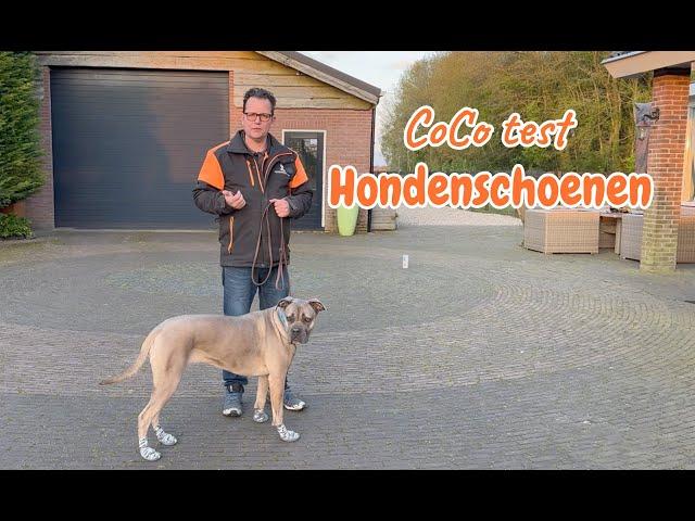 Hondenschoenen testen met CoCo