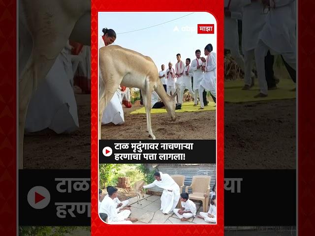 Deer Dancing Viral Video : टाळ मृदुंगावर नाचणाऱ्या हरणाचा पत्ता लागला!