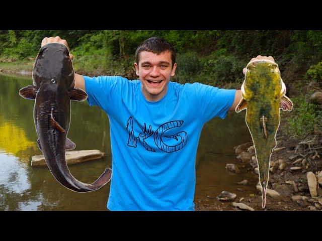 CATFISHING with LIVE BAIT to STOCK MY POND!