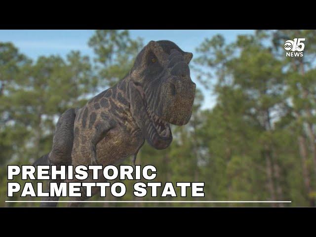 The Prehistoric Palmetto State Special