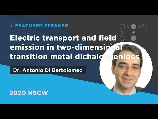 Electric transport and field emission in two-dimensional (...) | Antonio Di Bartolomeo | 2020NSCW