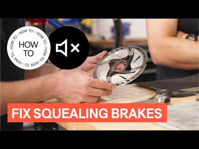 How to Fix Squeaky Disc Brakes On Your Bike | How To | TPC