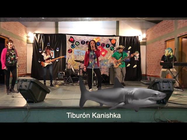 Tiburón Kanisha - Clases de Música