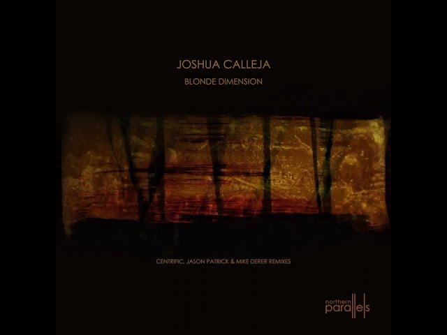 Joshua Calleja - Mindless Chaos  [Northern Parallels 022]