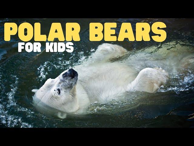 Polar Bears for Kids | Learn all about these apex predators