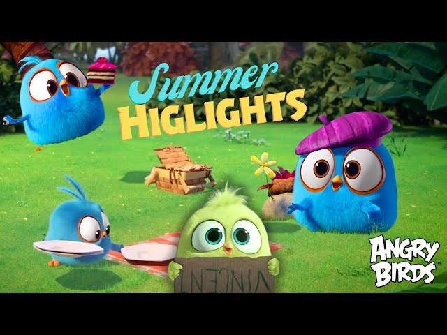 Angry Birds Summer Highlights | Chapter 1