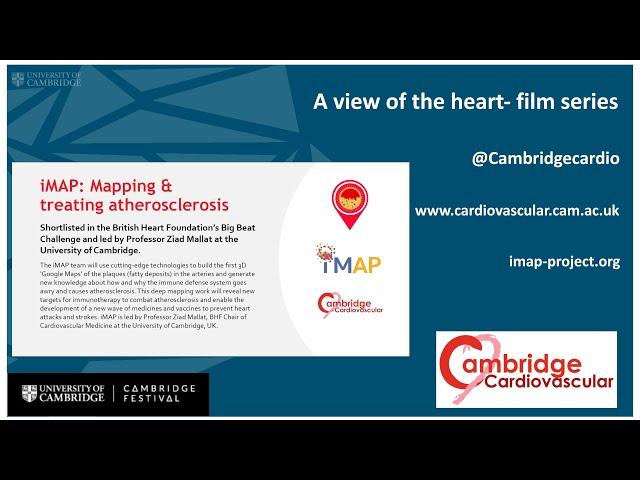 CAMBRIDGE CARDIOVASCULAR @ CAMBRIDGE FESTIVAL ' The iMAP Project' Professor Ziad Mallat