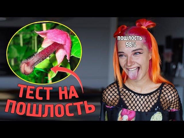 ПРОХОЖУ ТЕСТЫ! УЗНАЛА свое НАСТОЯЩЕЕ ИМЯ... Я ПОШЛАЯ?