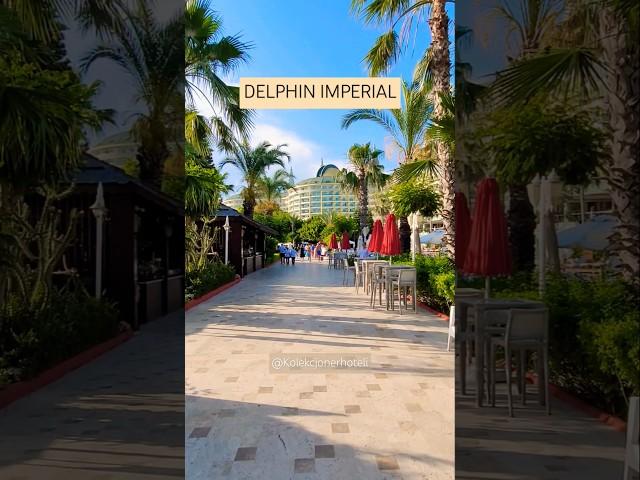 DELPHIN IMPERIAL / LARA TURKEY #shorts #hotel #delphinhotels #turkey