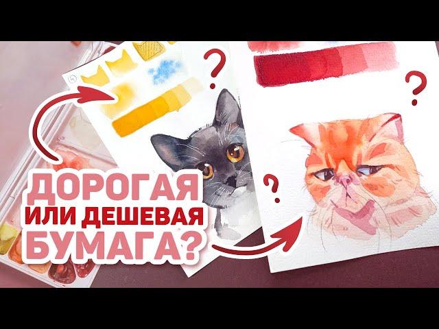 СЛЕПОЙ ТЕСТ Акварельной Бумаги / Угадываем Дорогую и Дешевую Бумагу Челлендж c @valeriagolovenkina