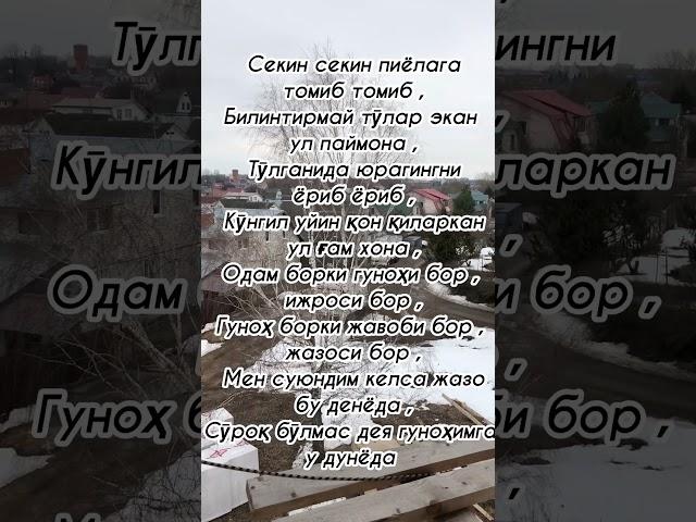 Шунчаки илиндим 