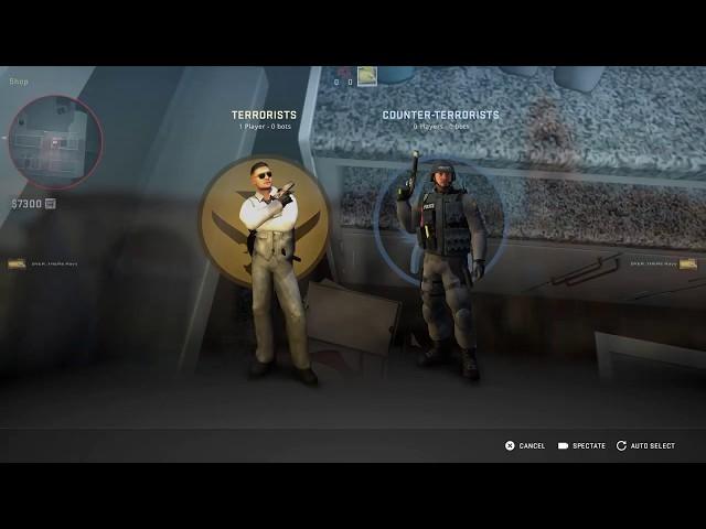 CS:GO Rialto Wingman Smokes and Tricks